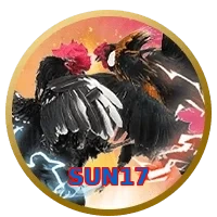 SUN17